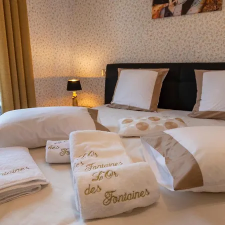 L'or Des Fontaines 10 Personnes 別荘
